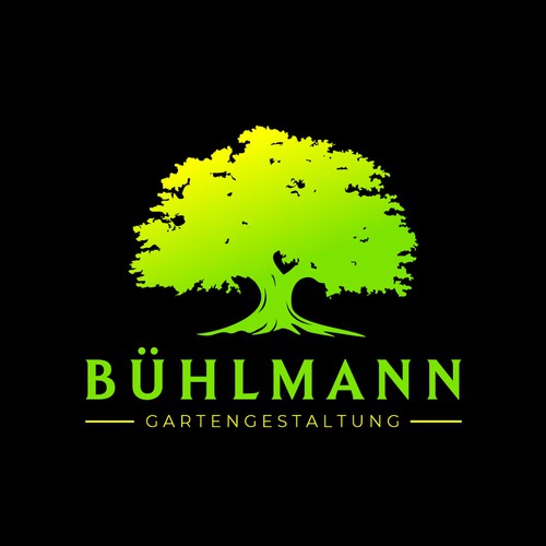 Logo y paquete de imagen corporativa propuesta en el concurso por Rabbit®