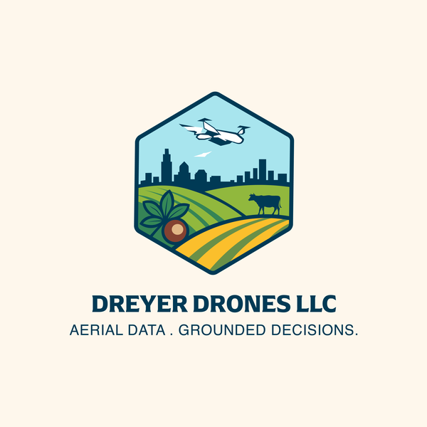 Logo Design for an Air Force Veteran