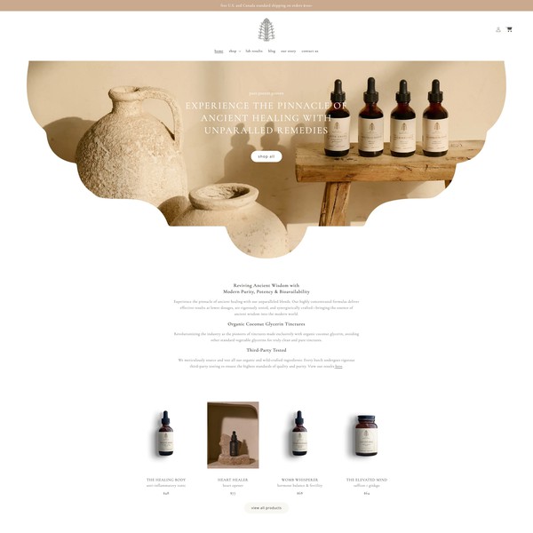 Shopify Website Design and Development