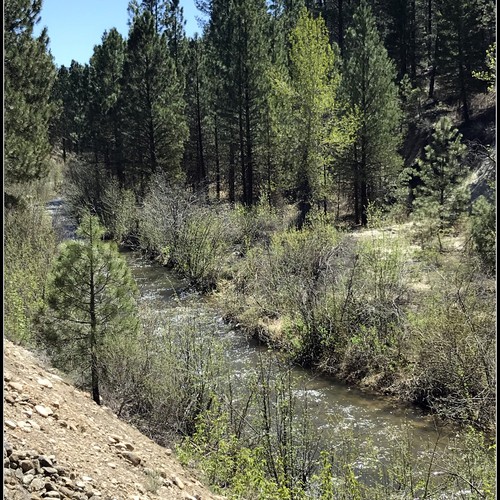 Mores Creek Spring (6).jpg