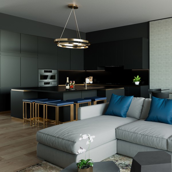 Kitchen and Living area