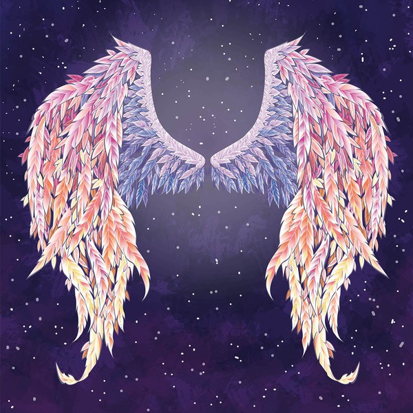 photo backdrop illustration