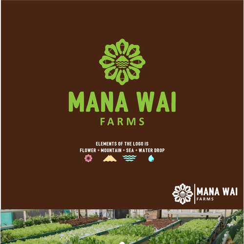 Hawaiian aquaponics company - design a modern logo Design by great19ᵍᵸ