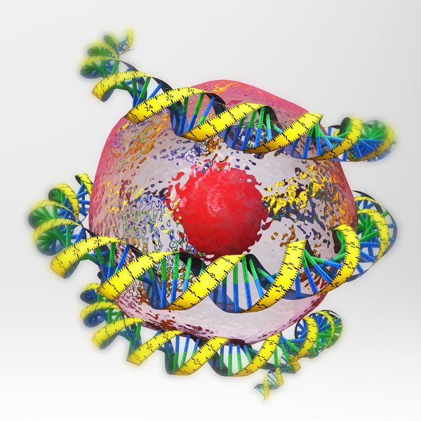 DNA measuring tape illustration