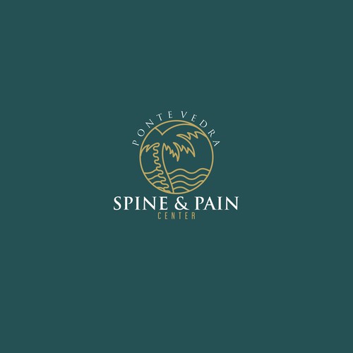 Spine and Pain Medical Practice in Florida Design by Alexiuz