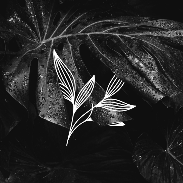 Design realizzato da Qyna. intitolato "Pure Coast Naturals"