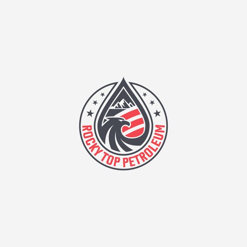 Fuel and Petroleum Supply company Needs a Professional Identity Design by Ovita ✏️