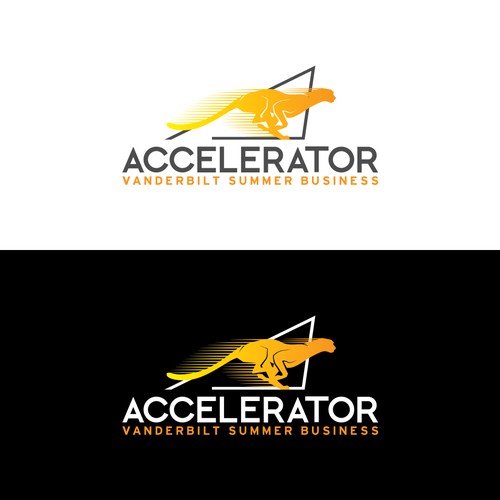 Accelerator—Summer Business Immersion - Vanderbilt Business School