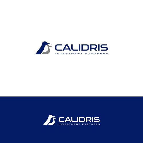 New Private Investment Firm Design by taufikrizkyy