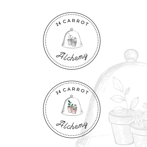 Design an Earthy Whimsical logo for Plant Medicine Business Design by Holocene