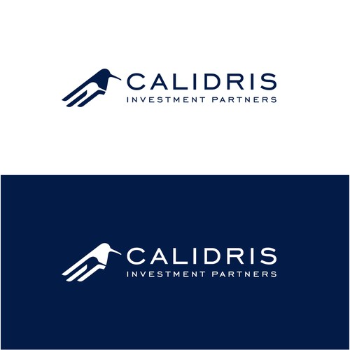 New Private Investment Firm Design by bo_rad