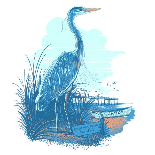 blue heron for seashore outfitters
