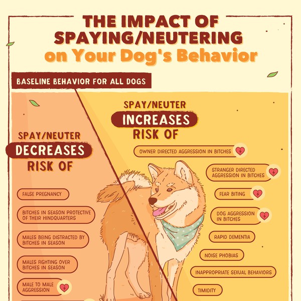 Infographic for dog training business - herding dogs! | Infographic ...