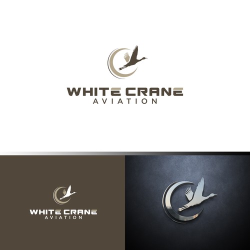 Logo for a Safe and Modern Aircraft rental company Design by ybur10