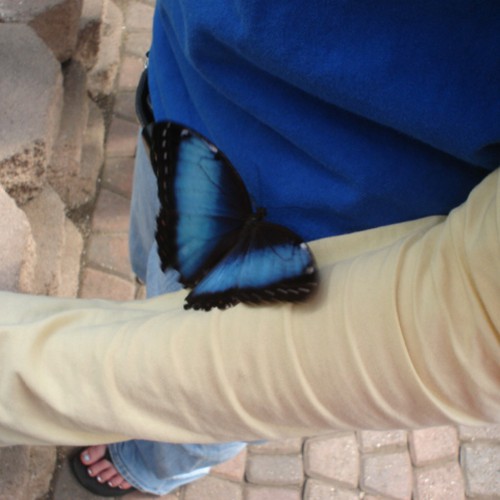 Design Rick Warren's New Book Cover Design by kdosh11