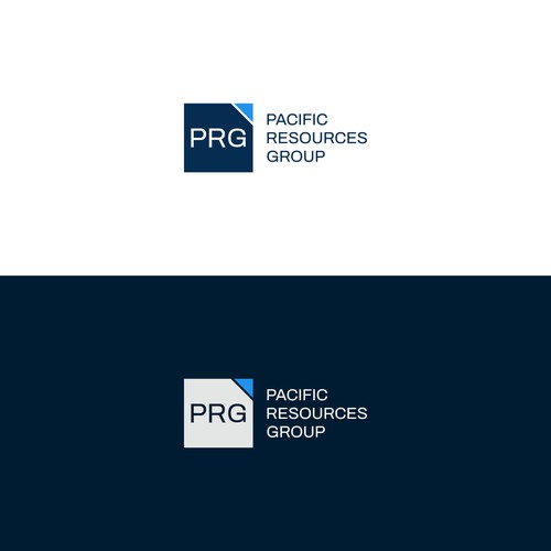 PRG Logo and Brand Guide Design by GraphicAjwa