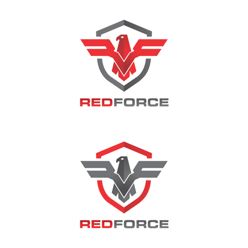 Designing a Logo for an Information Security Company Design von RayyaNamira