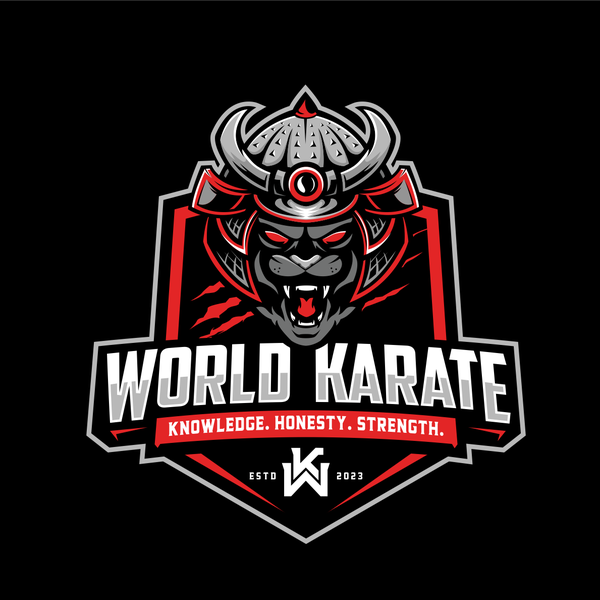 fun yet powerful branding for kids/adult martial arts school