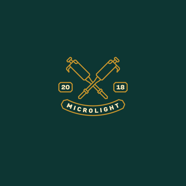 Microlight Logo Design