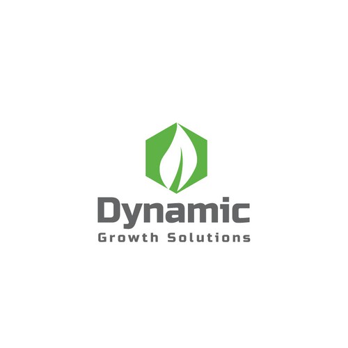 Dynamic Growth Solutions Design by design canvas