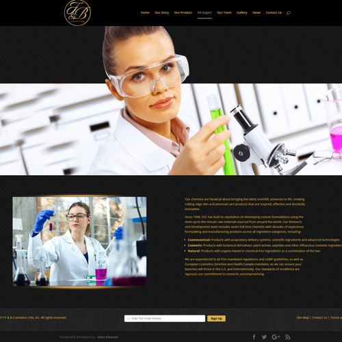 Black & gold themed website design Design by WordpressExpert