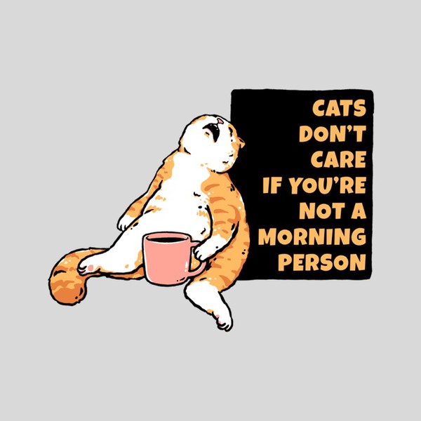 Cats Don’t Care