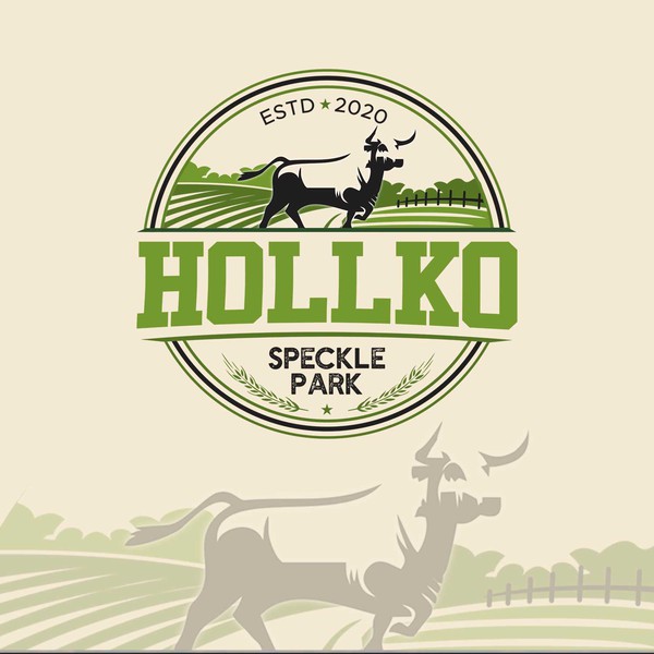 HOLLKO Special park logo