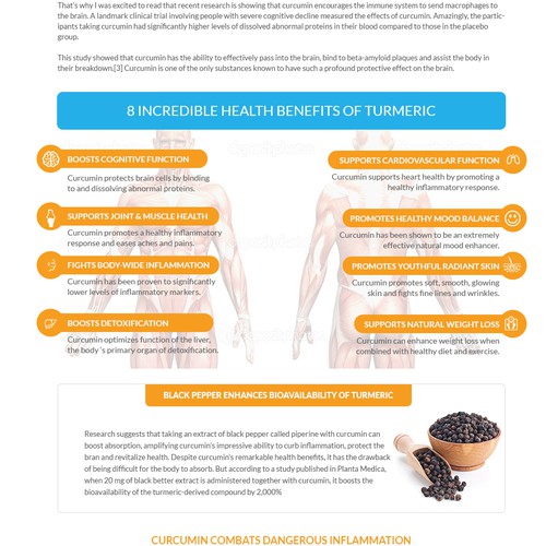 Create a more visual appealing content heavy promotional email Design by adhikeryjstu