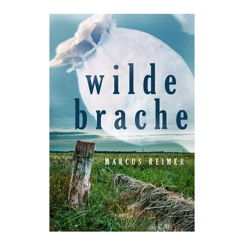 Book cover contest entry by treenabelle