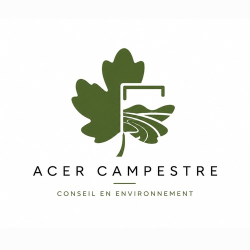 "Acer Campestre" winning Logo design