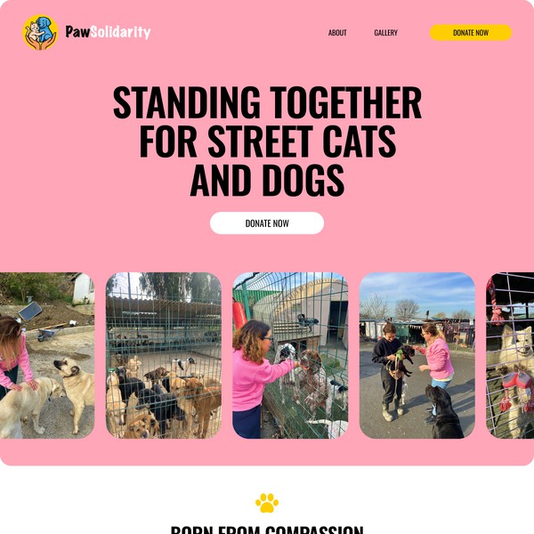 Website for animal charity organisation | Paw Solidarity
