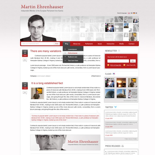 Wordpress Theme for MEP Martin Ehrenhauser Design von Stefan C. Asafti