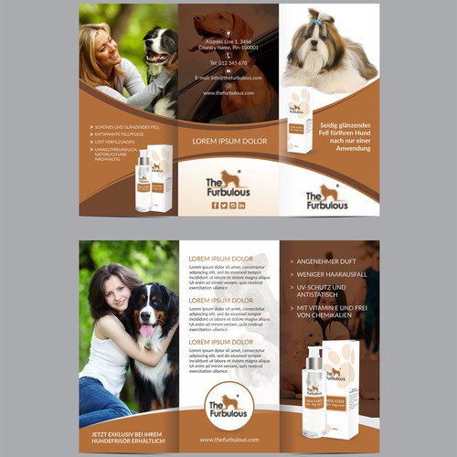 Brochure contest entry by Dzine Solution