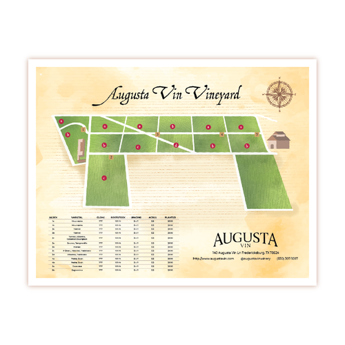 Artist interpretation of a Vineyard map Design by MinhCao
