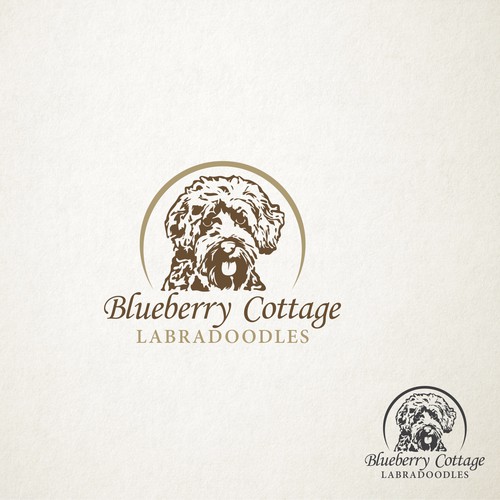 Blueberry Cottage Labradoodles Logo Logo Design Contest