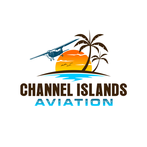 Classic Youthful Flight School catering to future pilots and luxury jet owners Design by Hysteria!