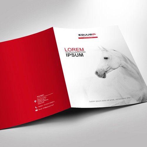 Brochure contest entry by Vivan M