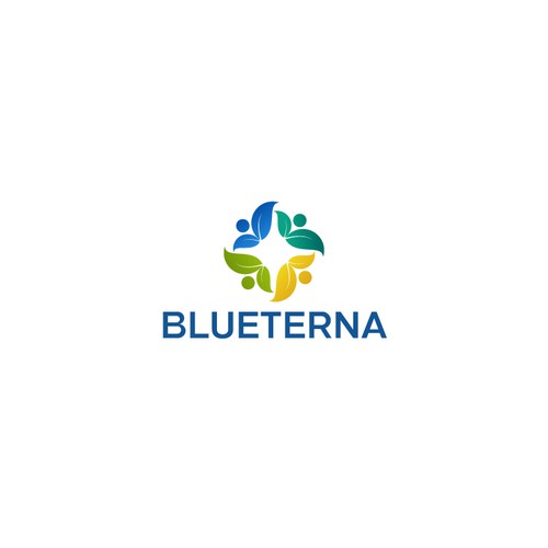 Blueterna Branding contest Design by iabdul85