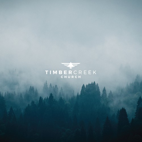 Create a Clean & Unique Logo for TIMBER CREEK デザイン by brandking inc.