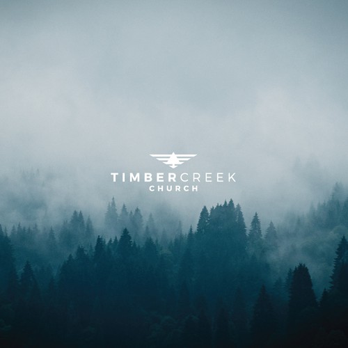 Create a Clean & Unique Logo for TIMBER CREEK Design por brandking inc.