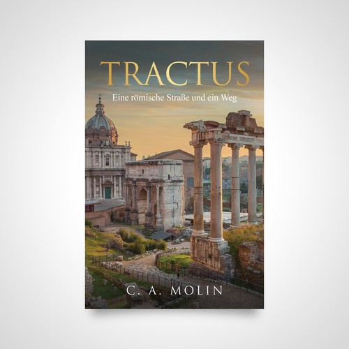 Book cover contest entry by Luigi99