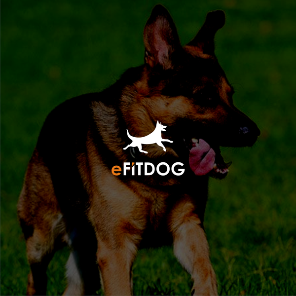 Design by ♥Celcius™ titled "efitdog"