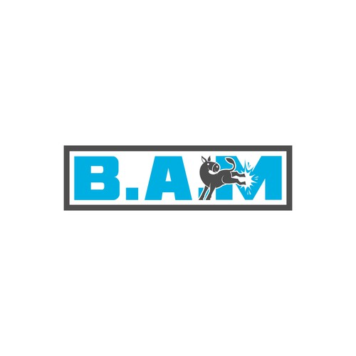 BAM *updated 6/12 read brief Design by Dendir