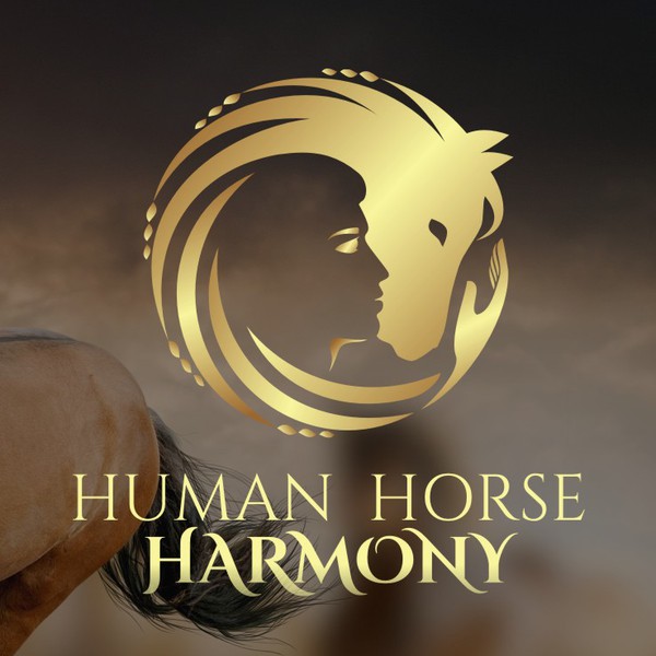 A person with a horse in harmony