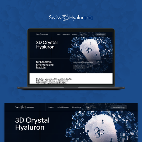 WordPress theme design contest entry by Roman Eirich