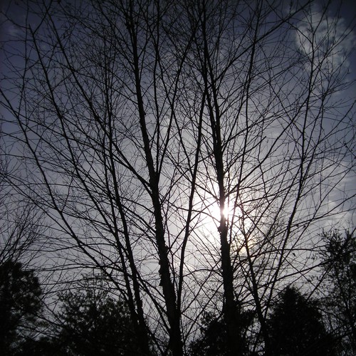 Design Rick Warren's New Book Cover Diseño de danielf