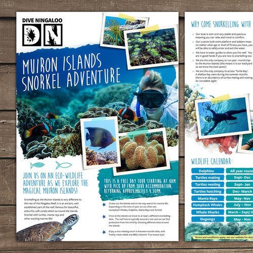 Design an eye catching flyer for snorkel tours on the Ningaloo Reef! Diseño de Silvia Jordanova