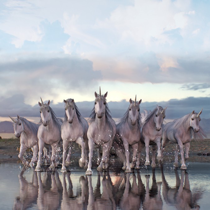 Illustrate a realistic herd of unicorns! Illustration or graphics contest