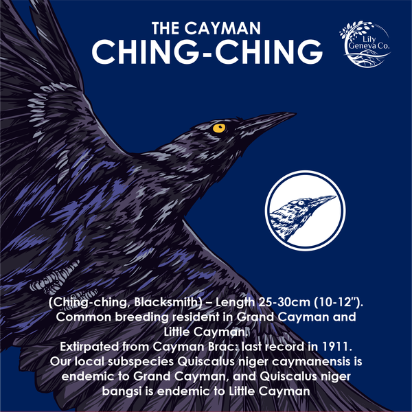 Diseño de EN_Art91 titulado "Ching Ching"