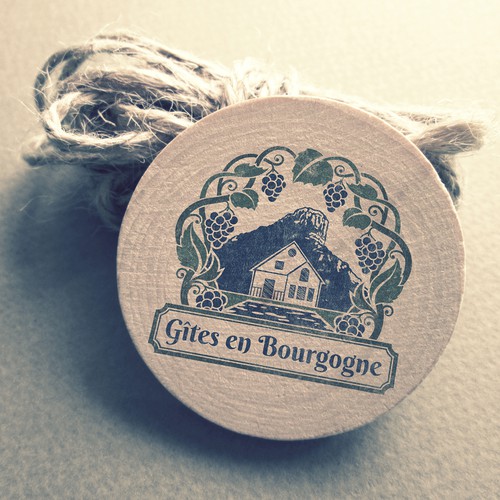  contest entry by zelamaris